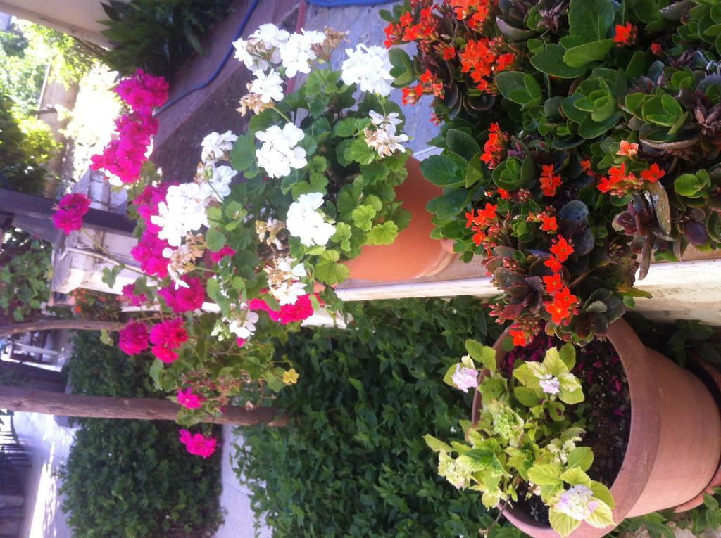 Besik Hotel Fethiye Bagian luar foto