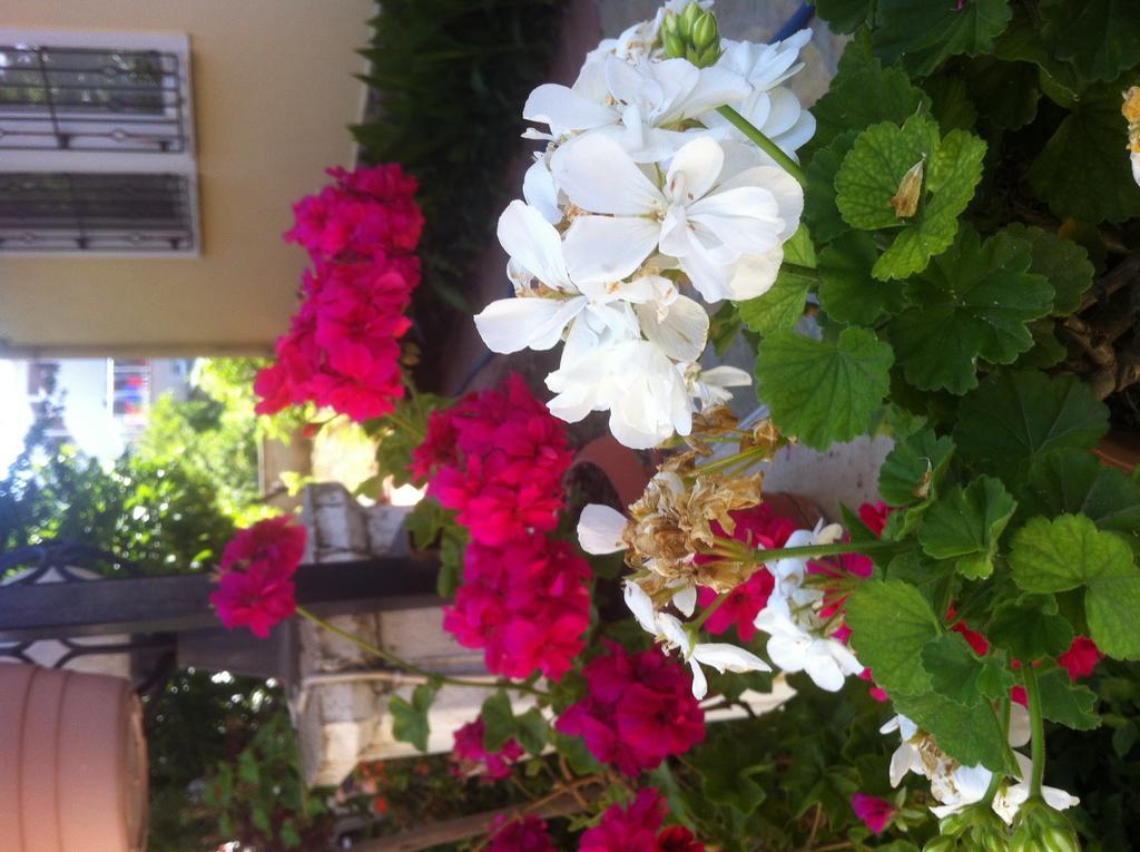Besik Hotel Fethiye Bagian luar foto