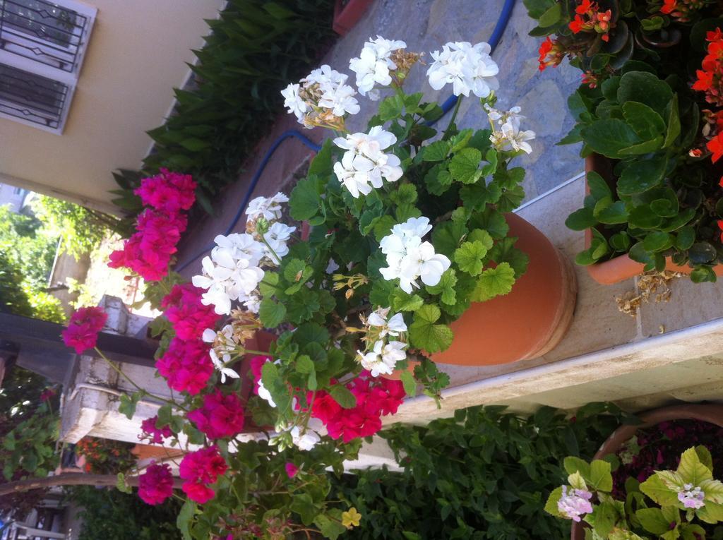 Besik Hotel Fethiye Bagian luar foto