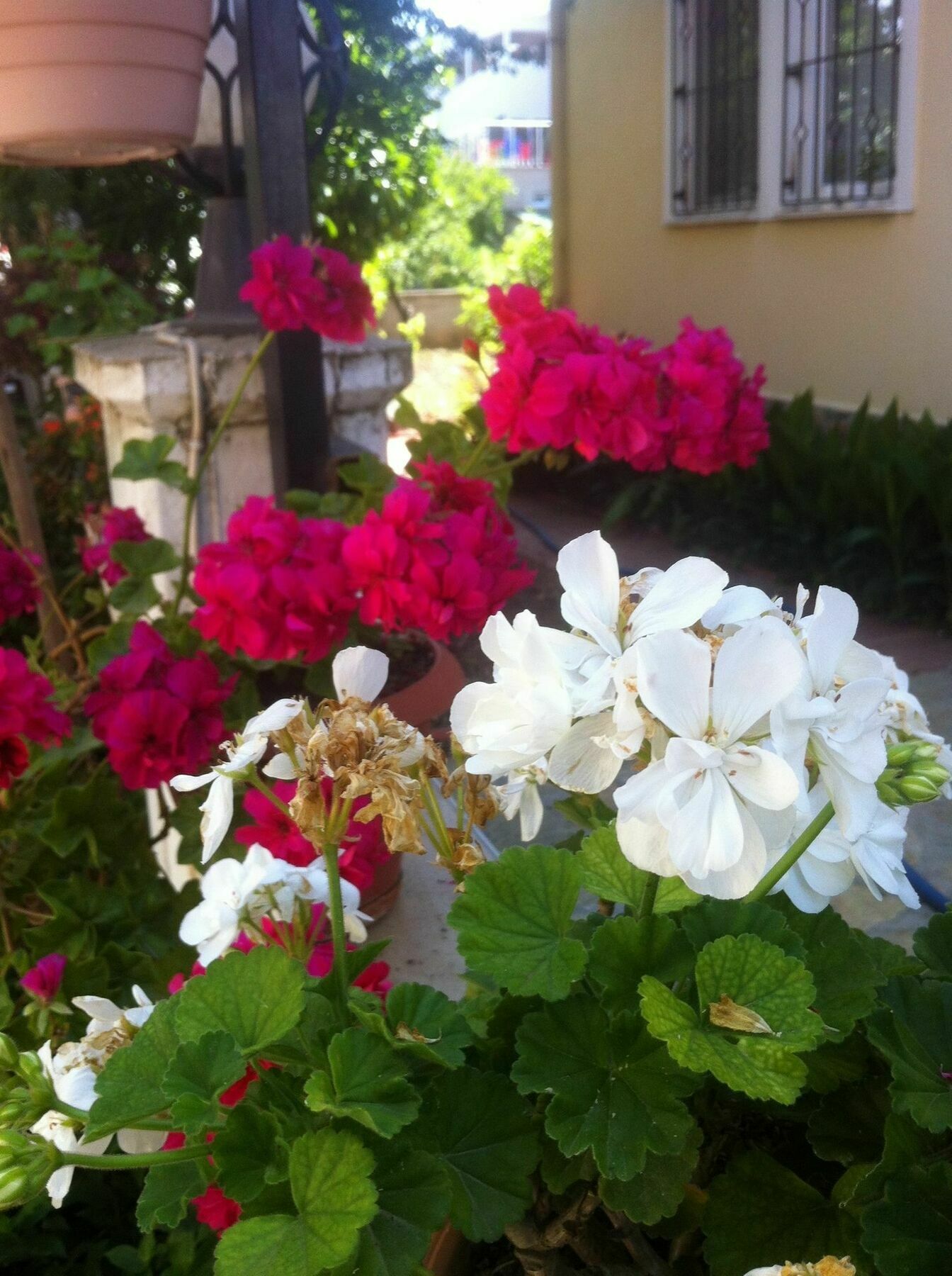 Besik Hotel Fethiye Bagian luar foto